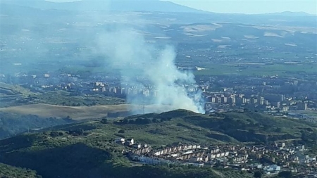 Incendio forestal en la capital (INFOCA)
