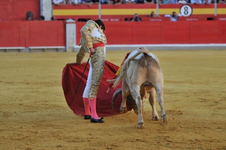 Momento de la Final del certamen de Novilladas (LANCES DE FUTURO) Momento de la Final del certamen de Novilladas (LANCES DE FUTURO)