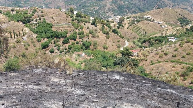 Zona de Almuñécar que se ha visto afectada por el incendio forestal (INFOCA)