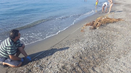 Un investigador dea UGR observa los microplásticos (UGR) 