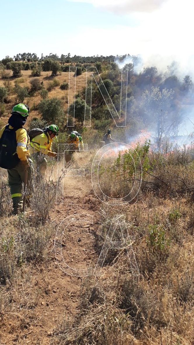 Miembros del Infoca trabajan en la extinción de un incendio (INFOCA / ARCHIVO)