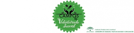 Logo de los campos de voluntariado juvenil (JUNTA) Logo de los campos de voluntariado juvenil (JUNTA)