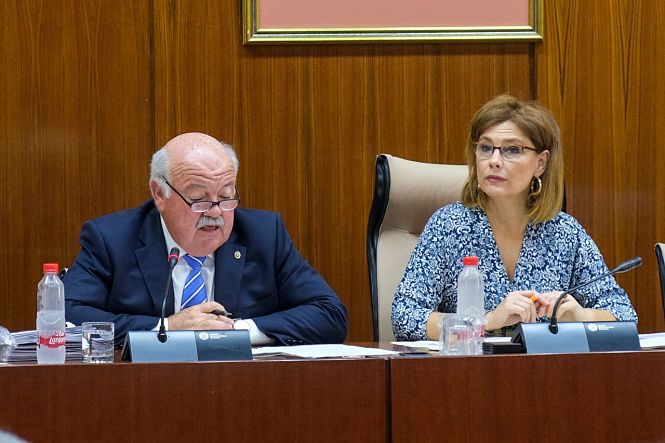 Mar Sánchez en la Comisión de Salud (CS)