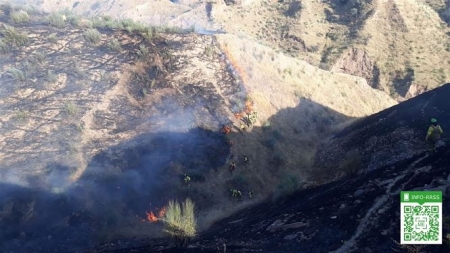 Zona afectada en el incendio de El Fargue (INFOCA) 