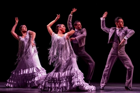 Ballet flamenco de Andaluciac(JUNTA)