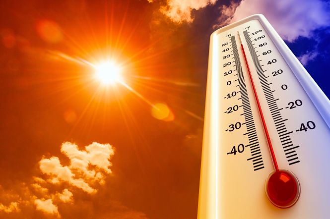 Ola de calor