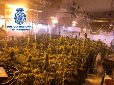 Marihuana incautada (POLICÍA NACIONAL) 