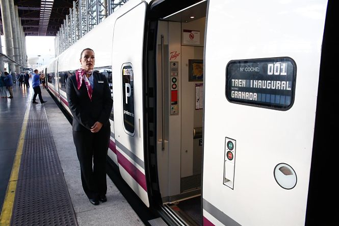 Ave de Granada (ÁLEX CÁMARA / EUROPA PRESS)