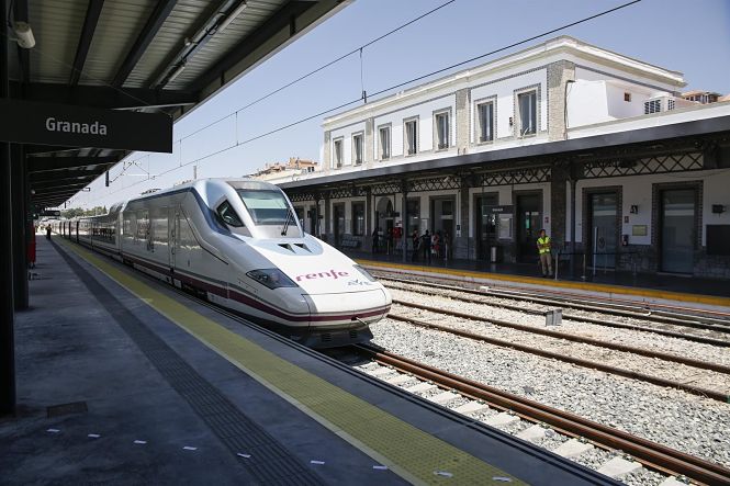 Ave de Granada (ÁLEX CÁMARA / EUROPA PRESS)