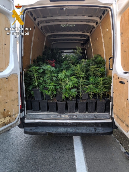 Cannabis Sativa en la furgoneta (GUARDIA CIVIL)