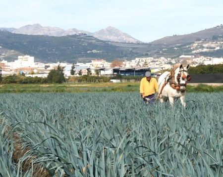 Agricultura Agricultura
