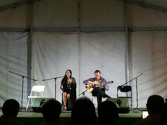 Una de las actuaciones del festival Flamenco (AYTO. MONACHIL)