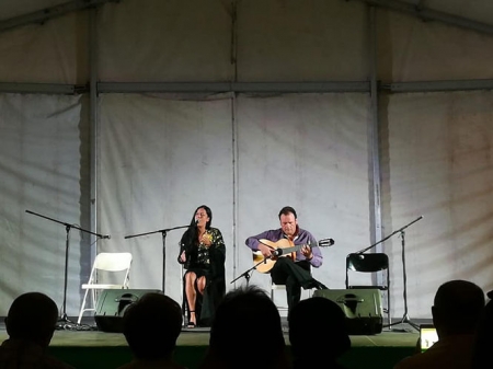 Una de las actuaciones del festival Flamenco (AYTO. MONACHIL)