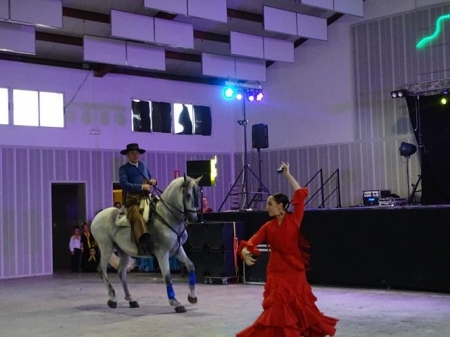 Edición anterior de la feria de septiembre en Montefrío (AYTO. MONTEFRIO)