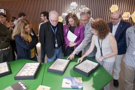 Presentación de la nueva ventana de la Ciencia (PARQUE DE LAS CIENCIAS) Presentación de la nueva ventana de la Ciencia (PARQUE DE LAS CIENCIAS)