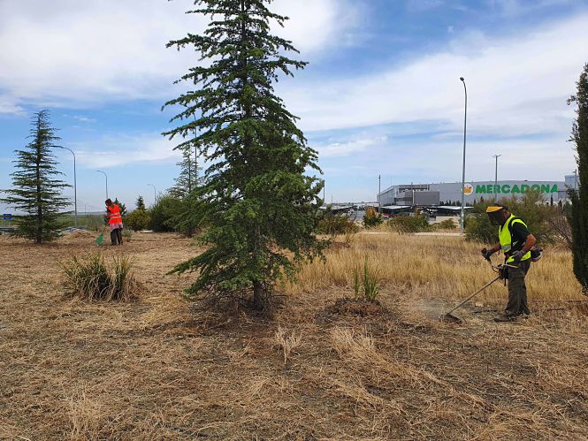 Mejora en una zona ajardinada de Guadix (AYTO. GUADIX)