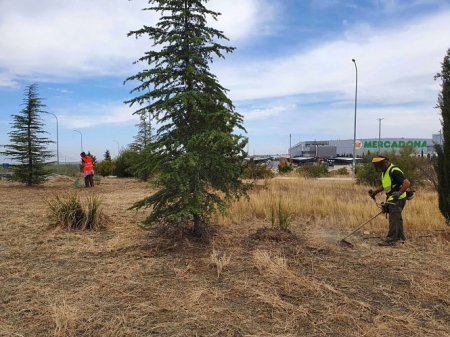 Mejora en una zona ajardinada de Guadix (AYTO. GUADIX)