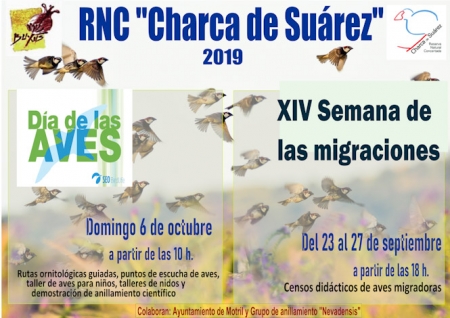 Motril, celebrará la semana de las migraciones y el Día de las Aves (AYTO. MOTRIL) 