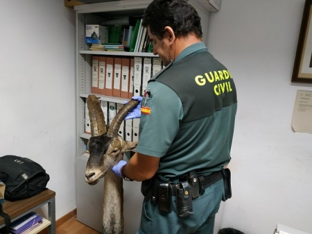 Miembro de la Guardia CIvil (GUARDIA CIVIL)
