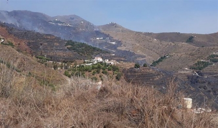 Zona afectada por el incendio forestal (112)