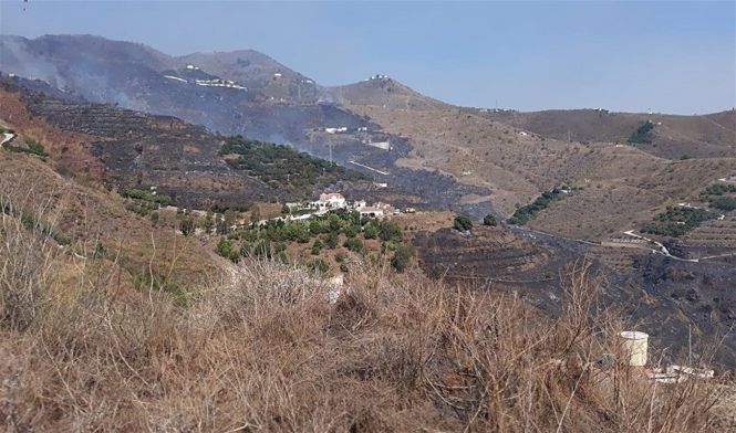 Zona afectada por el incendio (112)