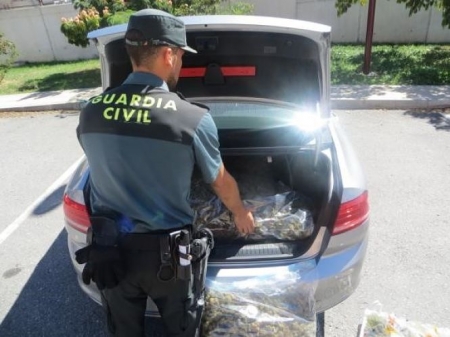 Coche Interceptado con la marihuana (GUARDIA CIVIL)