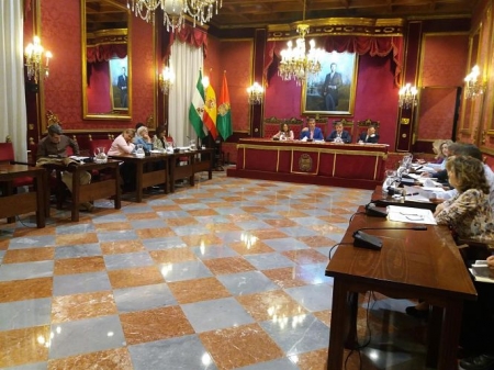 Pleno extraordinario del Ayuntamiento de Granada (EUROPA PRESS) Pleno extraordinario del Ayuntamiento de Granada (EUROPA PRESS)