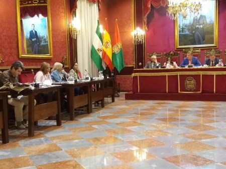 Pleno extraordinario del Ayuntamiento de Granada (EUROPA PRESS) Pleno extraordinario del Ayuntamiento de Granada (EUROPA PRESS)