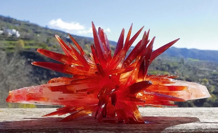 Cristal de fosfato monoamónico obtenido tras producirse el `efecto ajolote` (UGR)