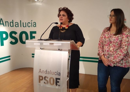 Teresa Jiménez, parlamentaria andaluza del PSOE (PSOE) Teresa Jiménez, parlamentaria andaluza del PSOE (PSOE)