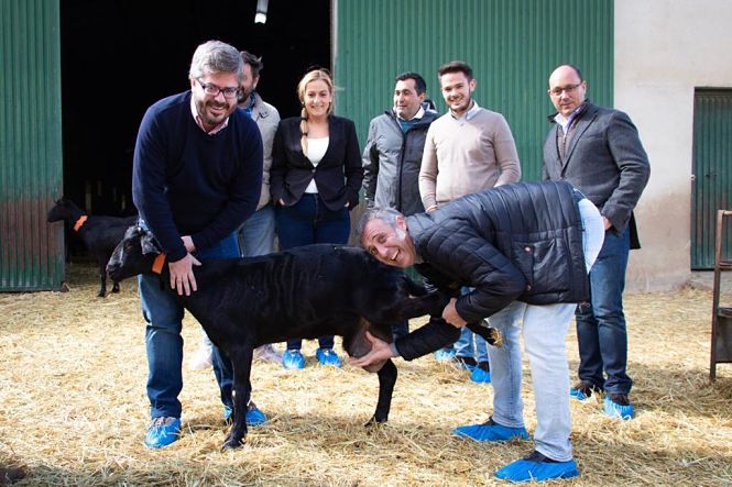 Fran Hervías en una eplotación de caprino (CS)