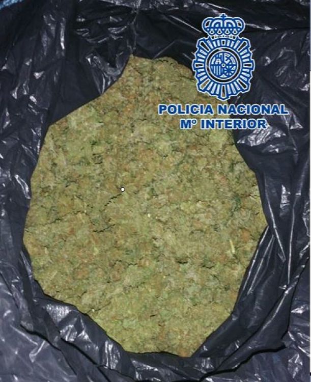 Bolsa de basura con los Cogollos (POLICÍA NACIONAL) 