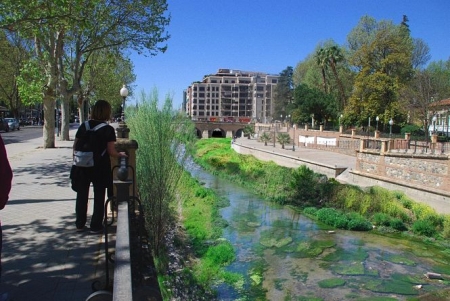 Miembros Ecologistas en Acción en el Río Genil (ECOLOGISTAS EN ACCIÓN) Miembros Ecologistas en Acción en el Río Genil (ECOLOGISTAS EN ACCIÓN)