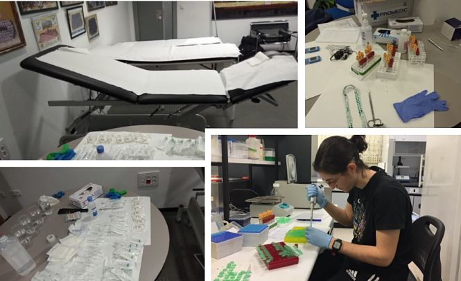 Primera fase del proyecto (UGR)