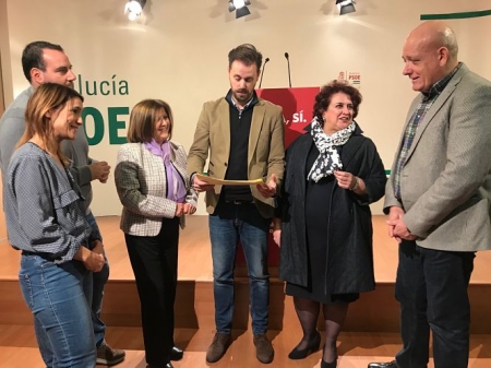 Parlamentarios andaluces del PSOE (PSOE)