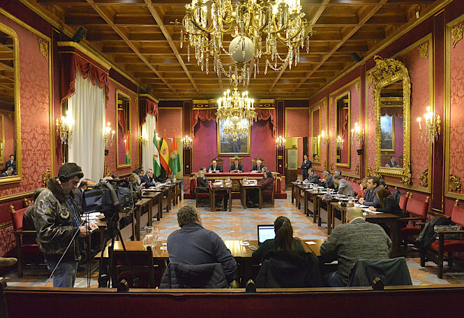 Pleno extraordinario del Ayuntamiento de Granada (JAVIER ALGARRA)