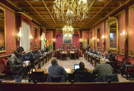 Pleno extraordinario del Ayuntamiento de Granada (JAVIER ALGARRA)