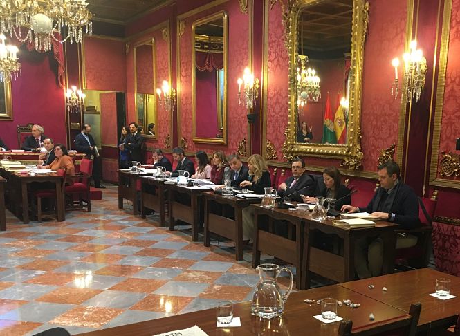 Pleno del Ayuntamiento de Granada (VOX)