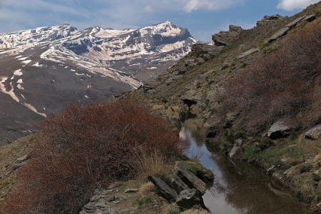 Parque Natural de Sierra Nevada Parque Natural de Sierra Nevada