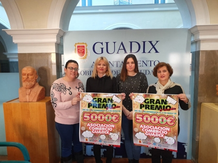 Presentación de la campaña navideña (AYTO. GUADIX) 