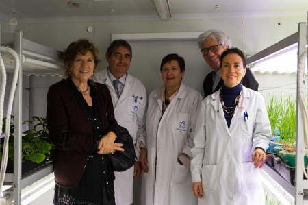 Imagen de los investigadores de la UGR que participan en el proyecto `Excalibur` (Universidad) 
