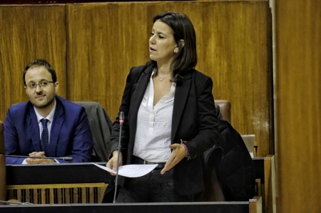 La parlamentaria andaluza del PP, Ana Vanessa García, hoy en su intervención en el Parlamento andaluz (PP)