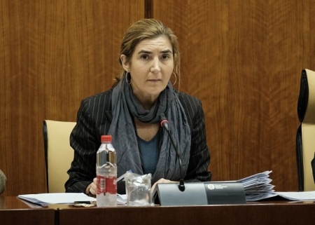 La consejera de Empleo, Formación y Trabajo Autónomo, Rocío Blanco, en comisión parlamentaria. (PARLAMENTO DE ANDALUCÍA) La consejera de Empleo, Formación y Trabajo Autónomo, Rocío Blanco, en comisión parlamentaria. (PARLAMENTO DE ANDALUCÍA)