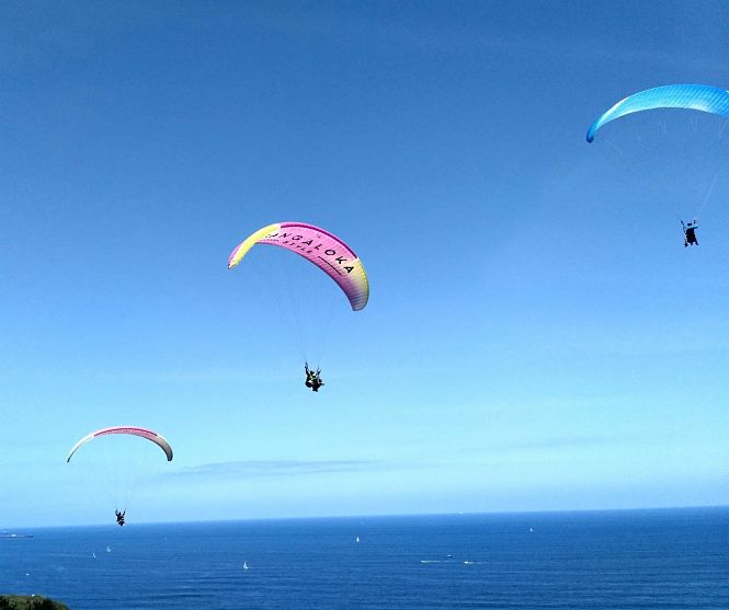 Parapente