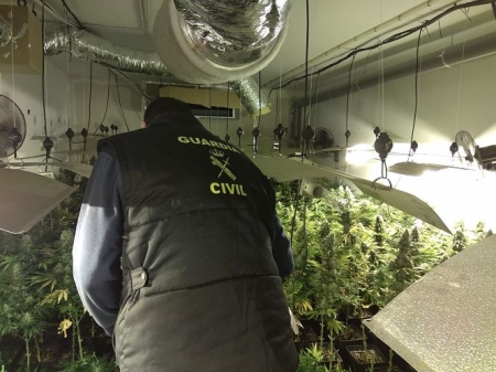 Imagen de una de las actuaciones para requisar plantas de cannabis por parte de la Guardia Civil (GUARDIA CIVIL) 
