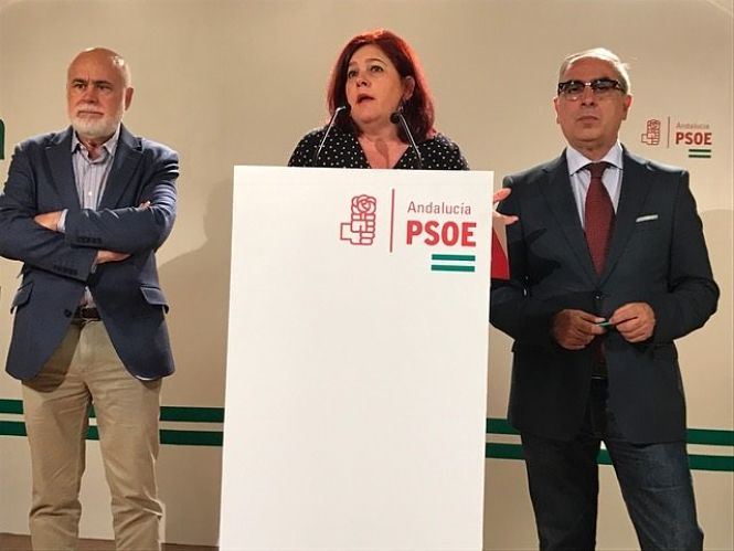La diputada en el Congreso, Elvira Ramón (PSOE DE GRANADA) 