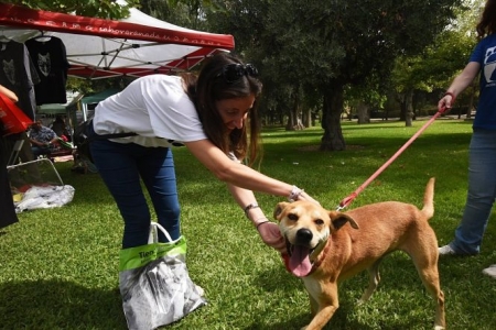 Feria De Adopción Animales (DIPUTACIÓN DE GRANADA) 