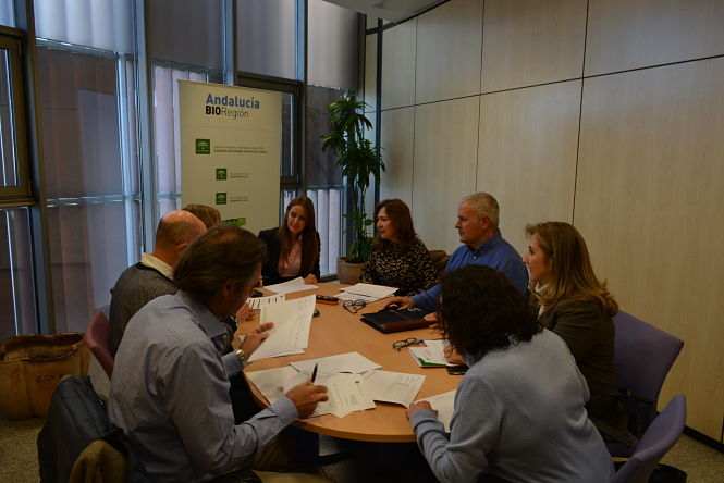 Comisión Provincial de IDEA (JUNTA)