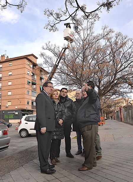 Renovación de luminarias en el Zaidín (JAVIER ALGARRA) Renovación de luminarias en el Zaidín (JAVIER ALGARRA)