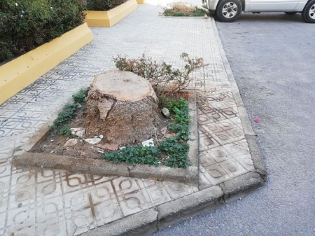 PSOE MOTRIL